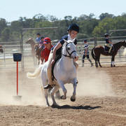 Youth Arabian National Championships