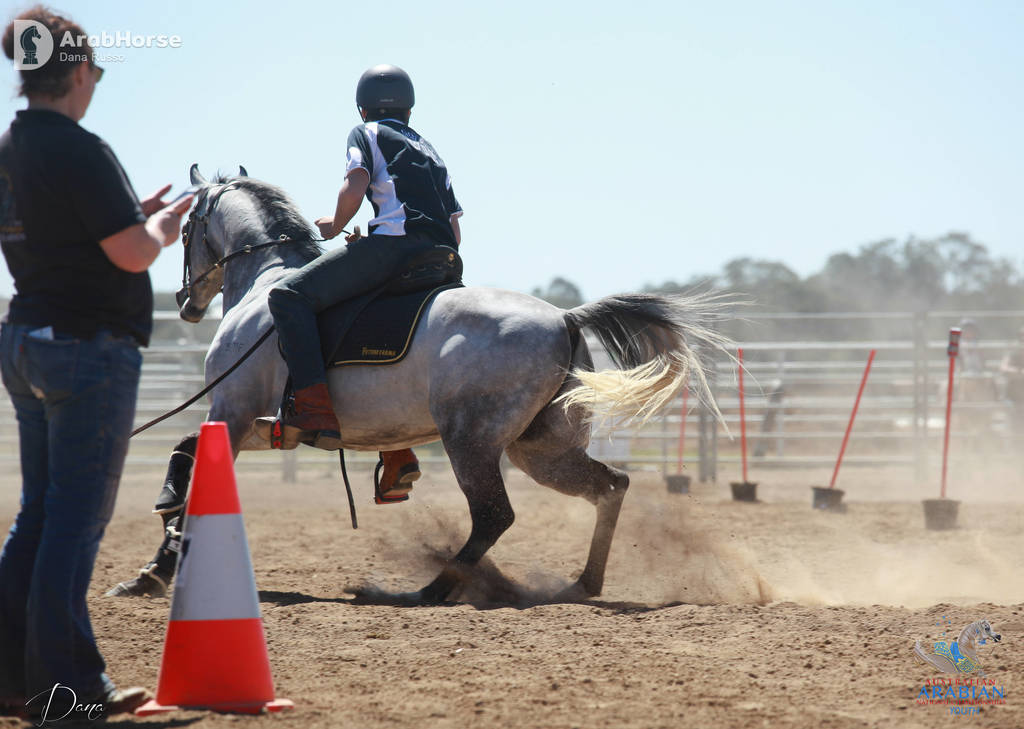 Youth Arabian National Championships