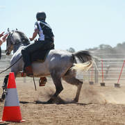 Youth Arabian National Championships