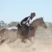 Youth Arabian National Championships