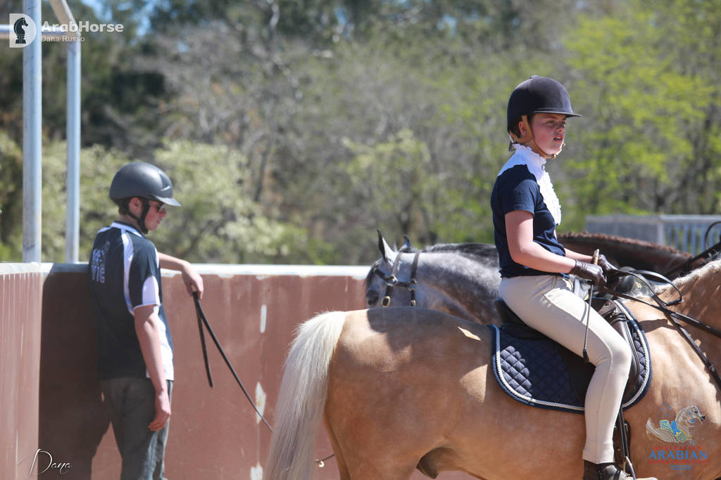 Youth Arabian National Championships