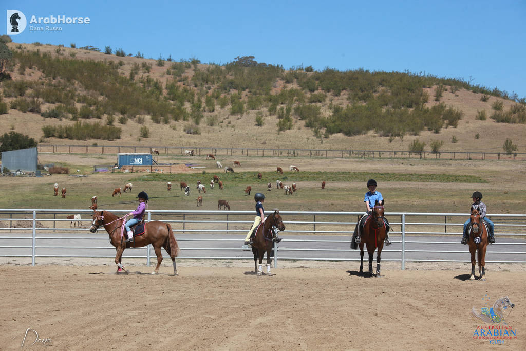 Youth Arabian National Championships