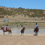 Youth Arabian National Championships