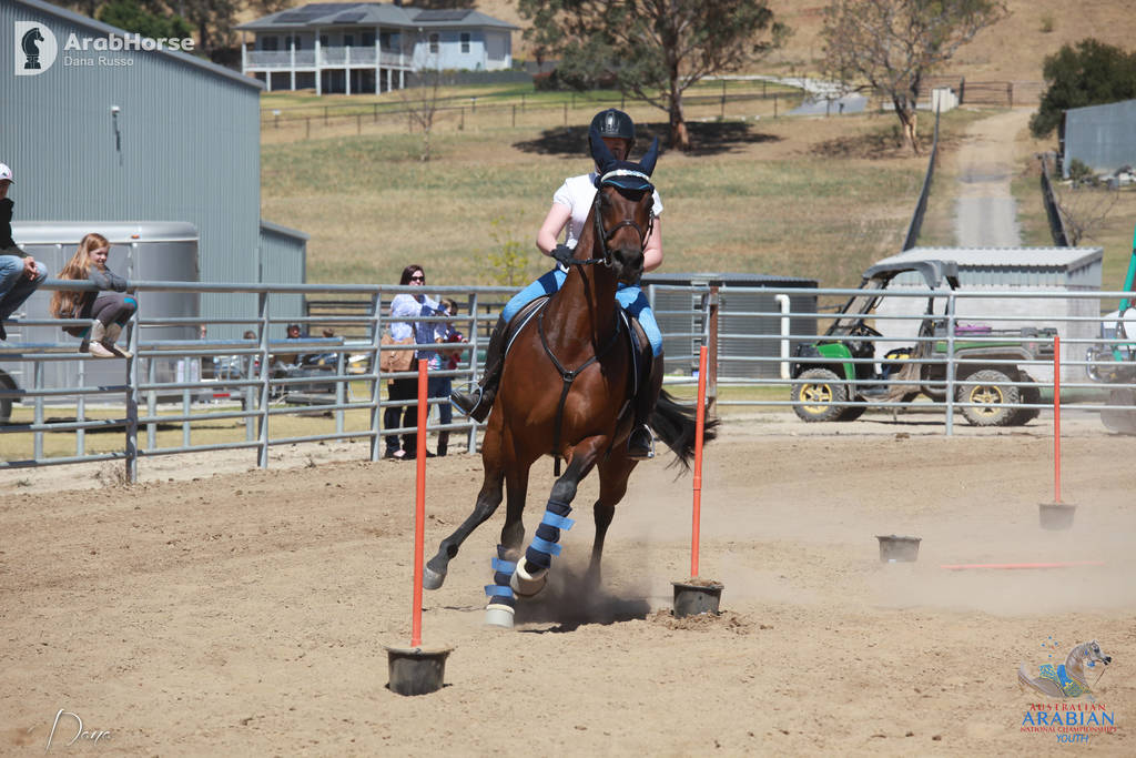 Youth Arabian National Championships