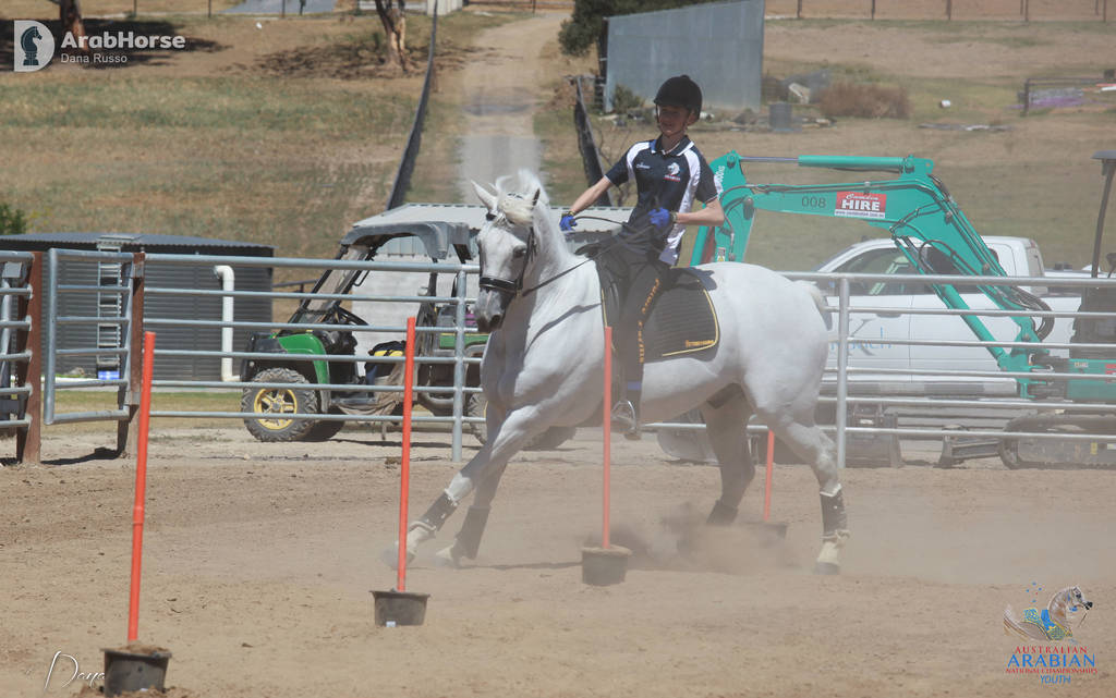 Youth Arabian National Championships