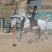 Youth Arabian National Championships