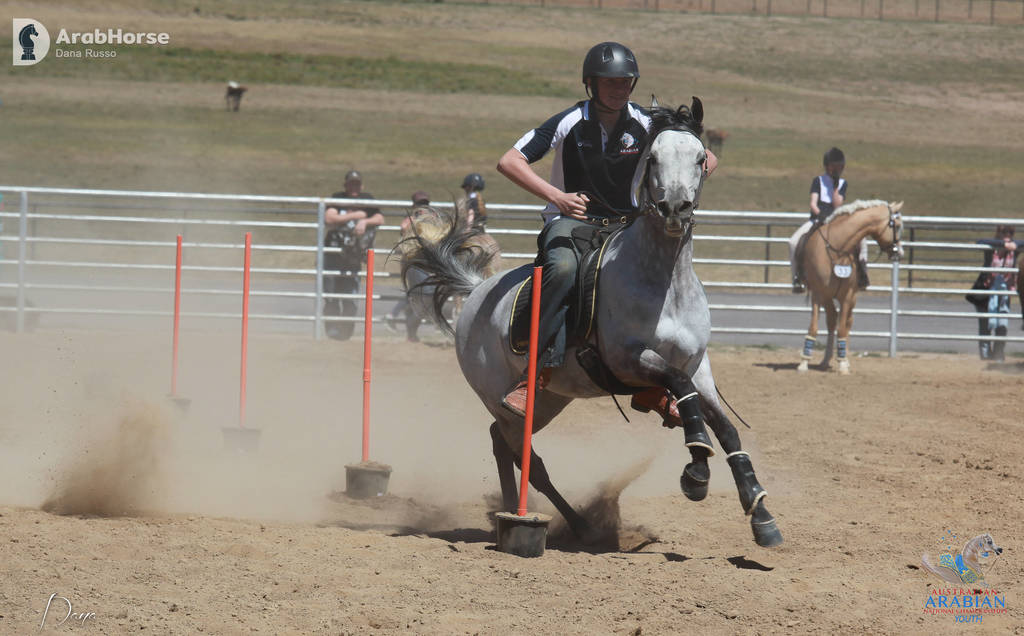 Youth Arabian National Championships