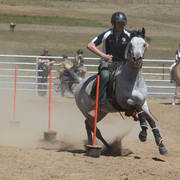 Youth Arabian National Championships