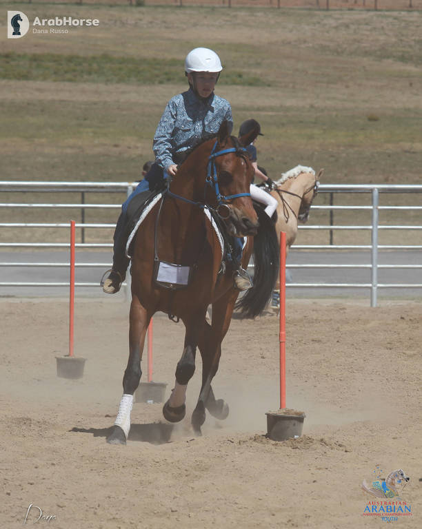 Youth Arabian National Championships