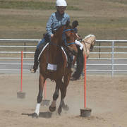 Youth Arabian National Championships