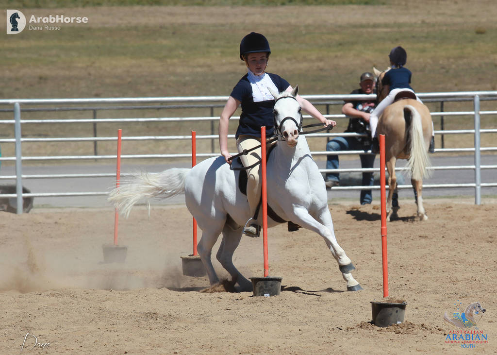 Youth Arabian National Championships