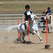Youth Arabian National Championships