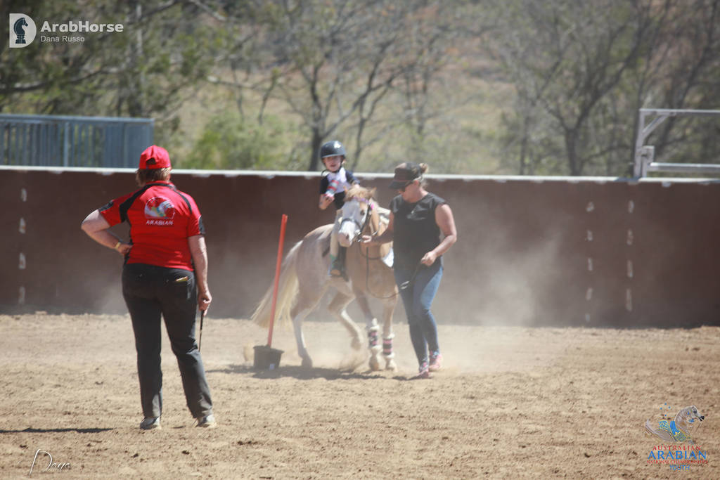 Youth Arabian National Championships