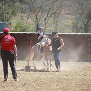 Youth Arabian National Championships