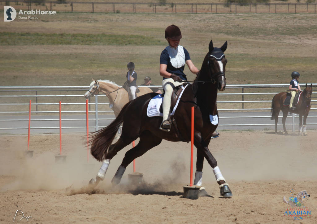 Youth Arabian National Championships