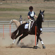 Youth Arabian National Championships