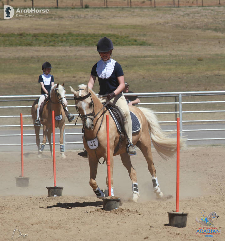 Youth Arabian National Championships