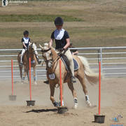Youth Arabian National Championships
