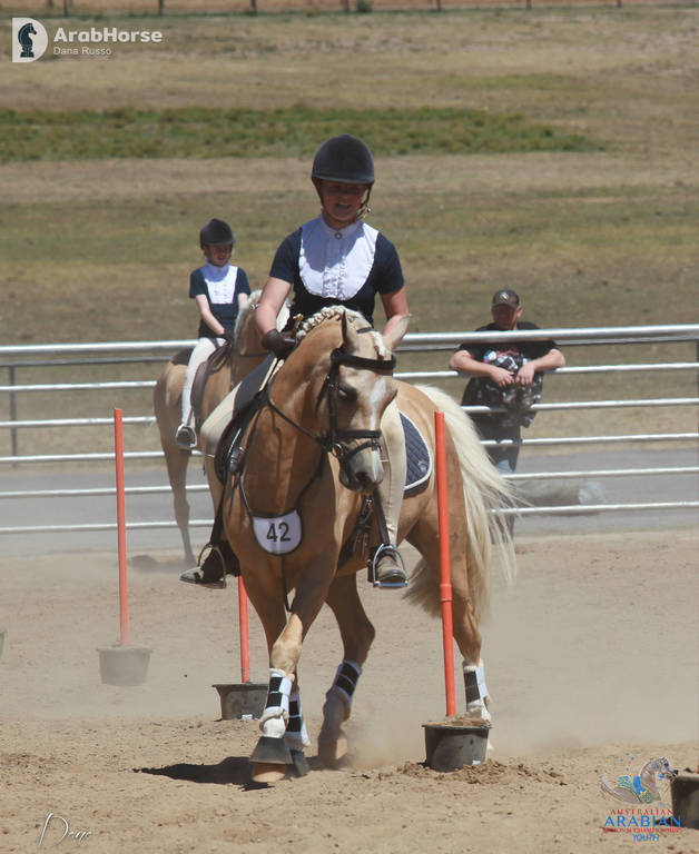 Youth Arabian National Championships