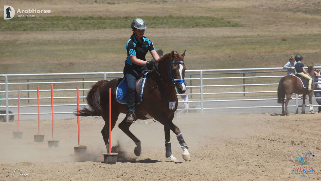 Youth Arabian National Championships