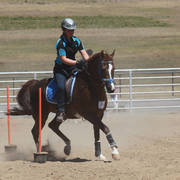 Youth Arabian National Championships