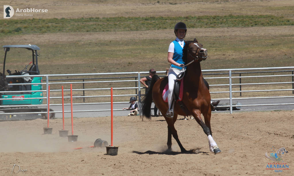 Youth Arabian National Championships