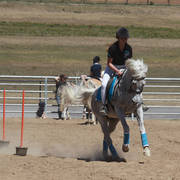 Youth Arabian National Championships