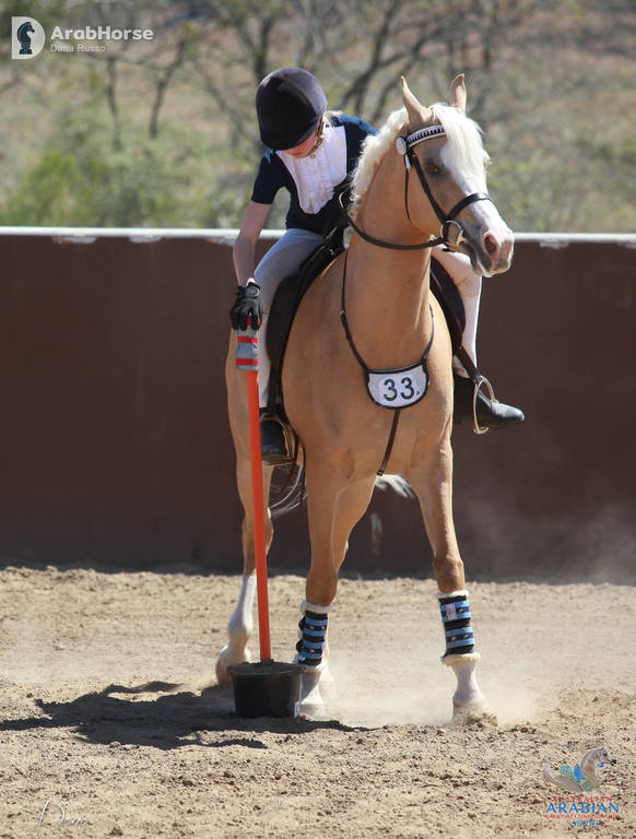 Youth Arabian National Championships