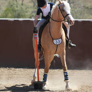 Youth Arabian National Championships
