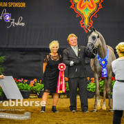 Arabian National Breeder Finals - 2017