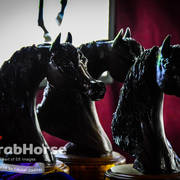 Arabian National Breeder Finals - 2017