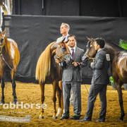 Arabian National Breeder Finals - 2017