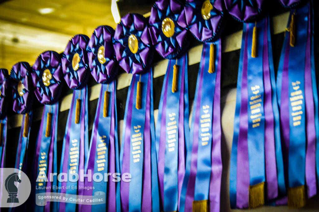 Arabian National Breeder Finals - 2017