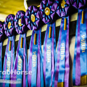 Arabian National Breeder Finals - 2017