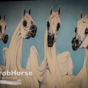 Arabian National Breeder Finals - 2017