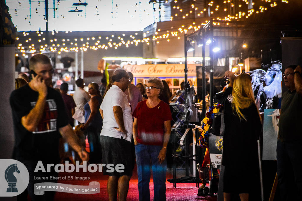 Arabian National Breeder Finals - 2017
