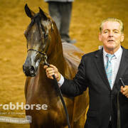 Arabian National Breeder Finals - 2017
