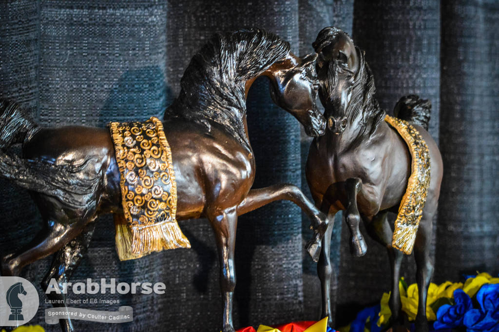 Arabian National Breeder Finals - 2017