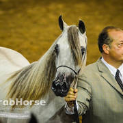 Arabian National Breeder Finals - 2017