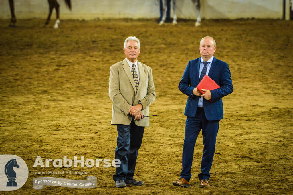 Arabian National Breeder Finals - 2017
