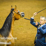 Arabian National Breeder Finals - 2017