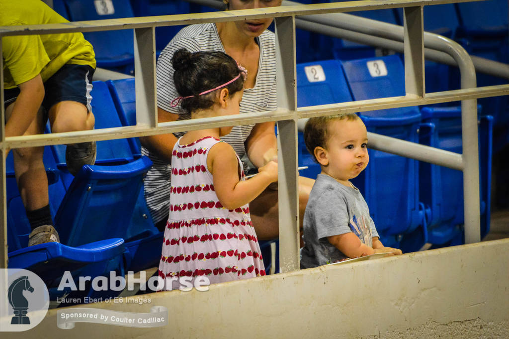 Arabian National Breeder Finals - 2017