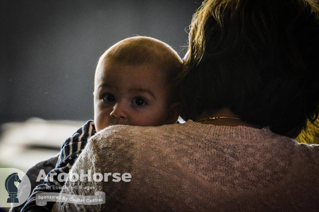 Arabian National Breeder Finals - 2017