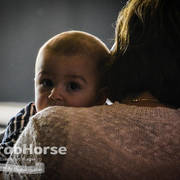 Arabian National Breeder Finals - 2017