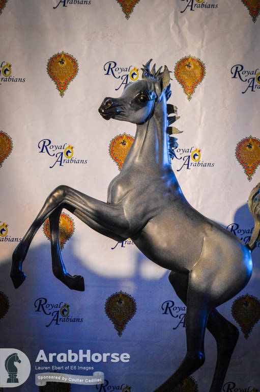 Arabian National Breeder Finals - 2017