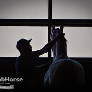 Arabian National Breeder Finals - 2017