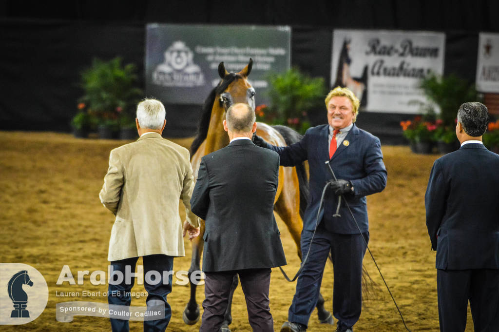 Arabian National Breeder Finals - 2017