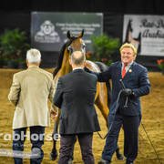 Arabian National Breeder Finals - 2017
