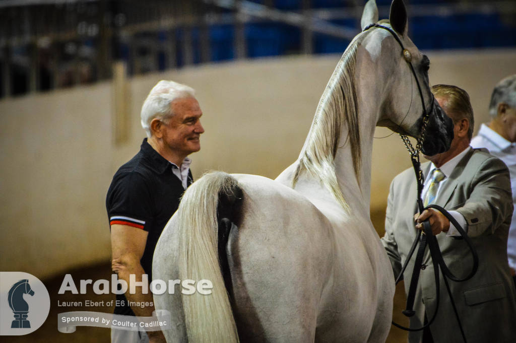 Arabian National Breeder Finals - 2017