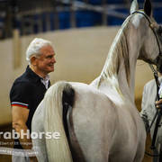 Arabian National Breeder Finals - 2017